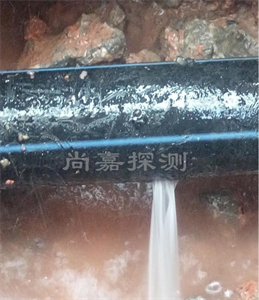 惠城消防管道漏点探测